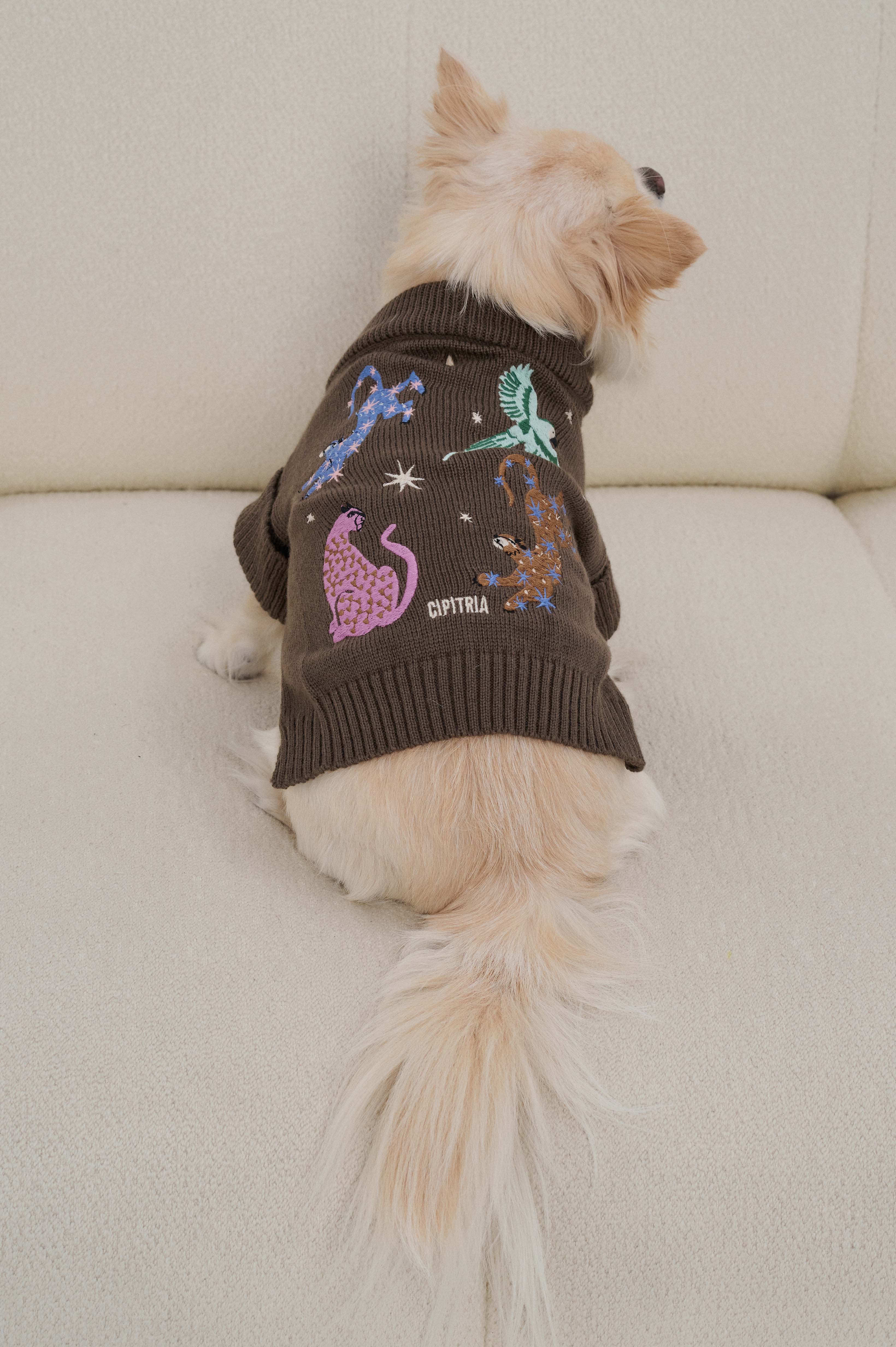 SWEATER BELL