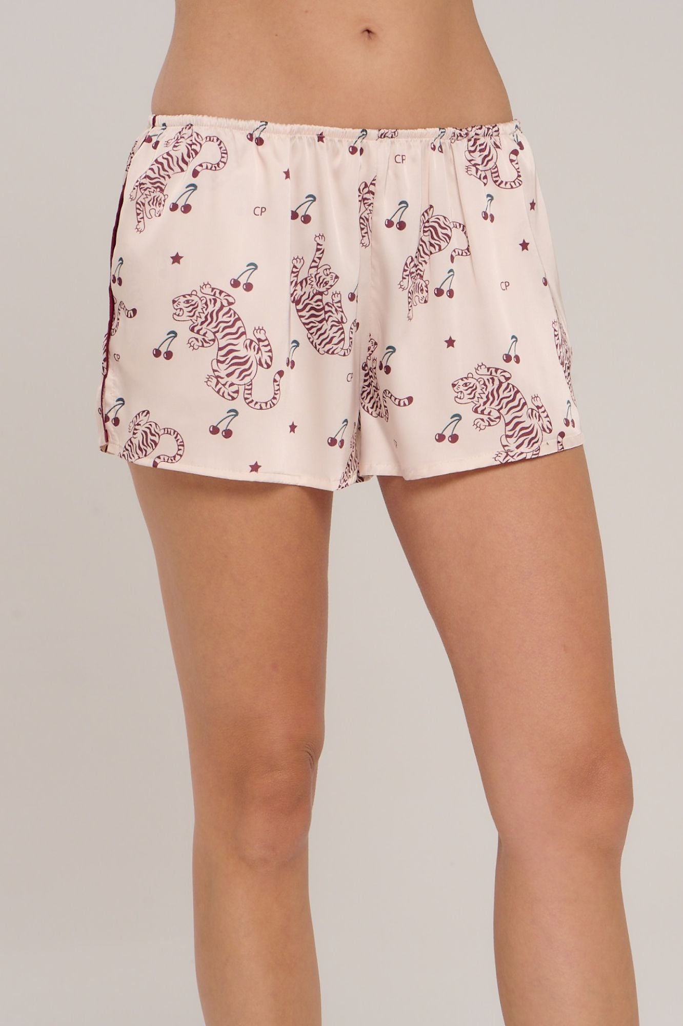 CONJUNTO BRISA