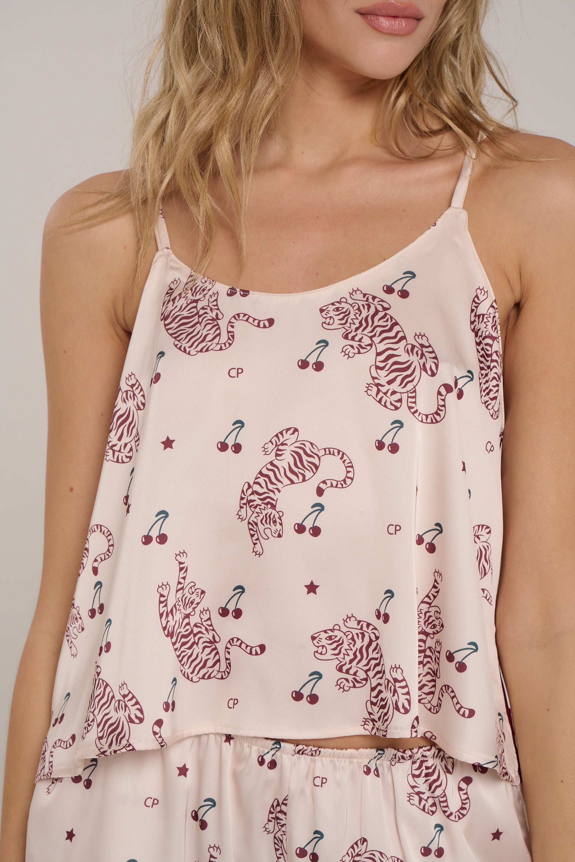 CONJUNTO BRISA