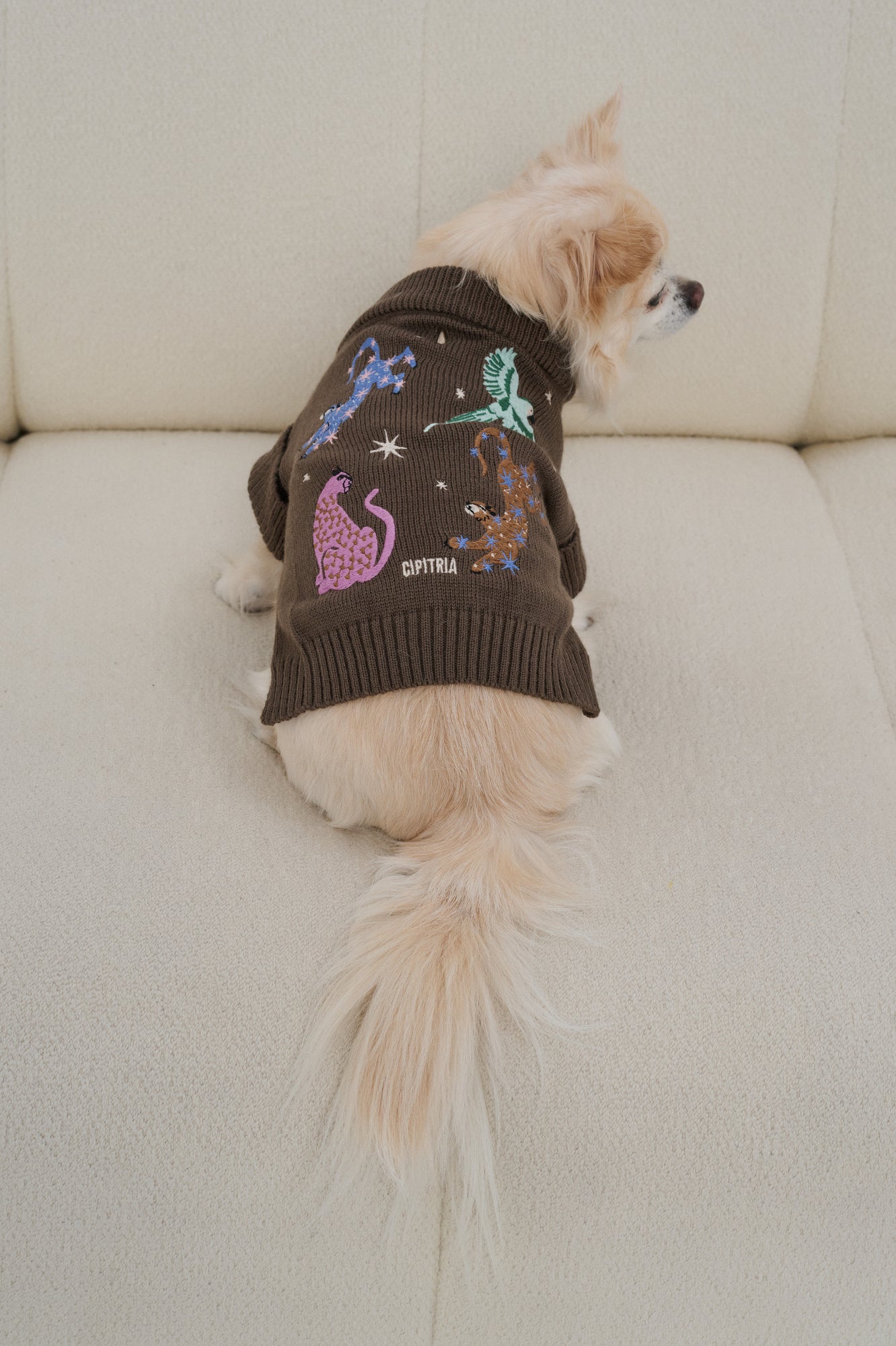 SWEATER BELL