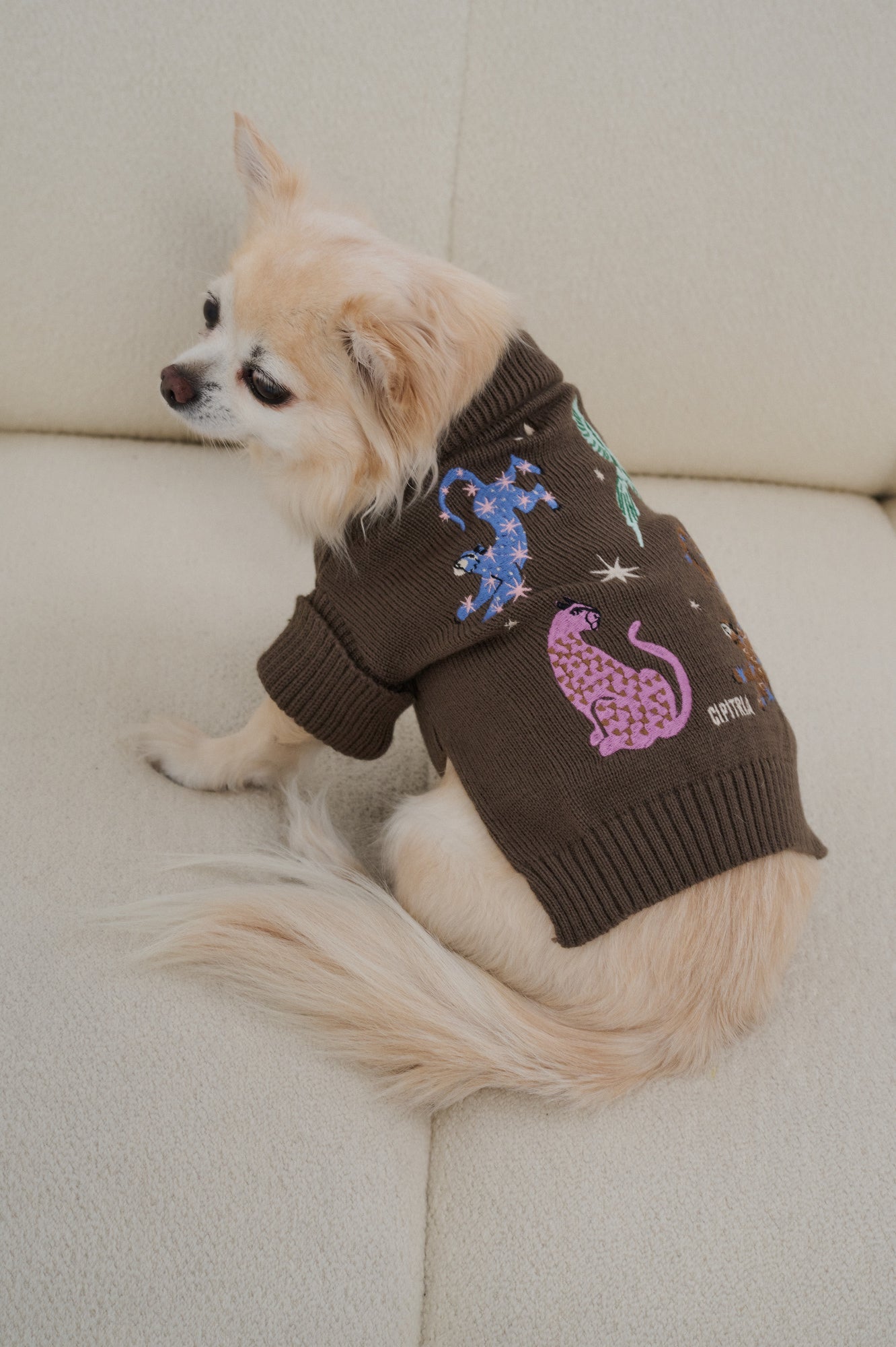 SWEATER BELL