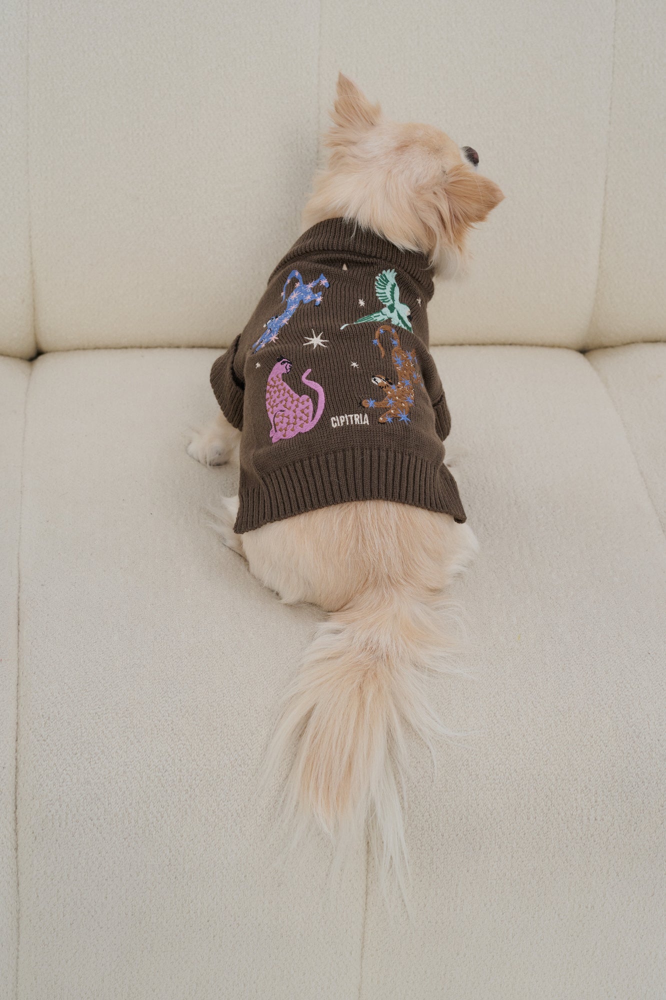 SWEATER BELL