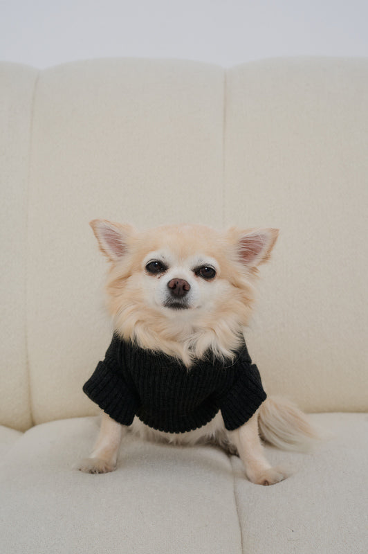SWEATER BELL