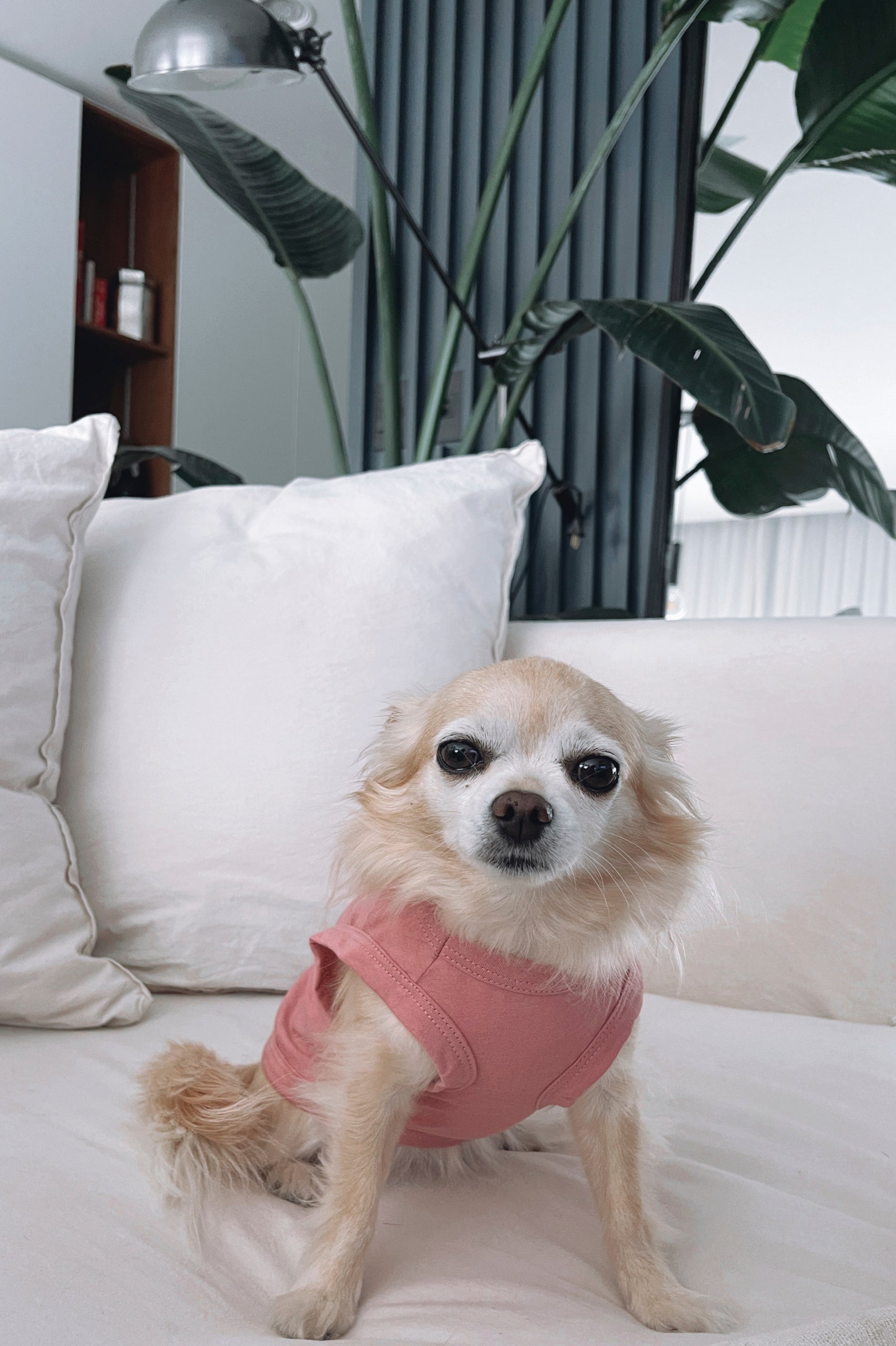 REMERA PUPPY WHAT I WANT ROSA