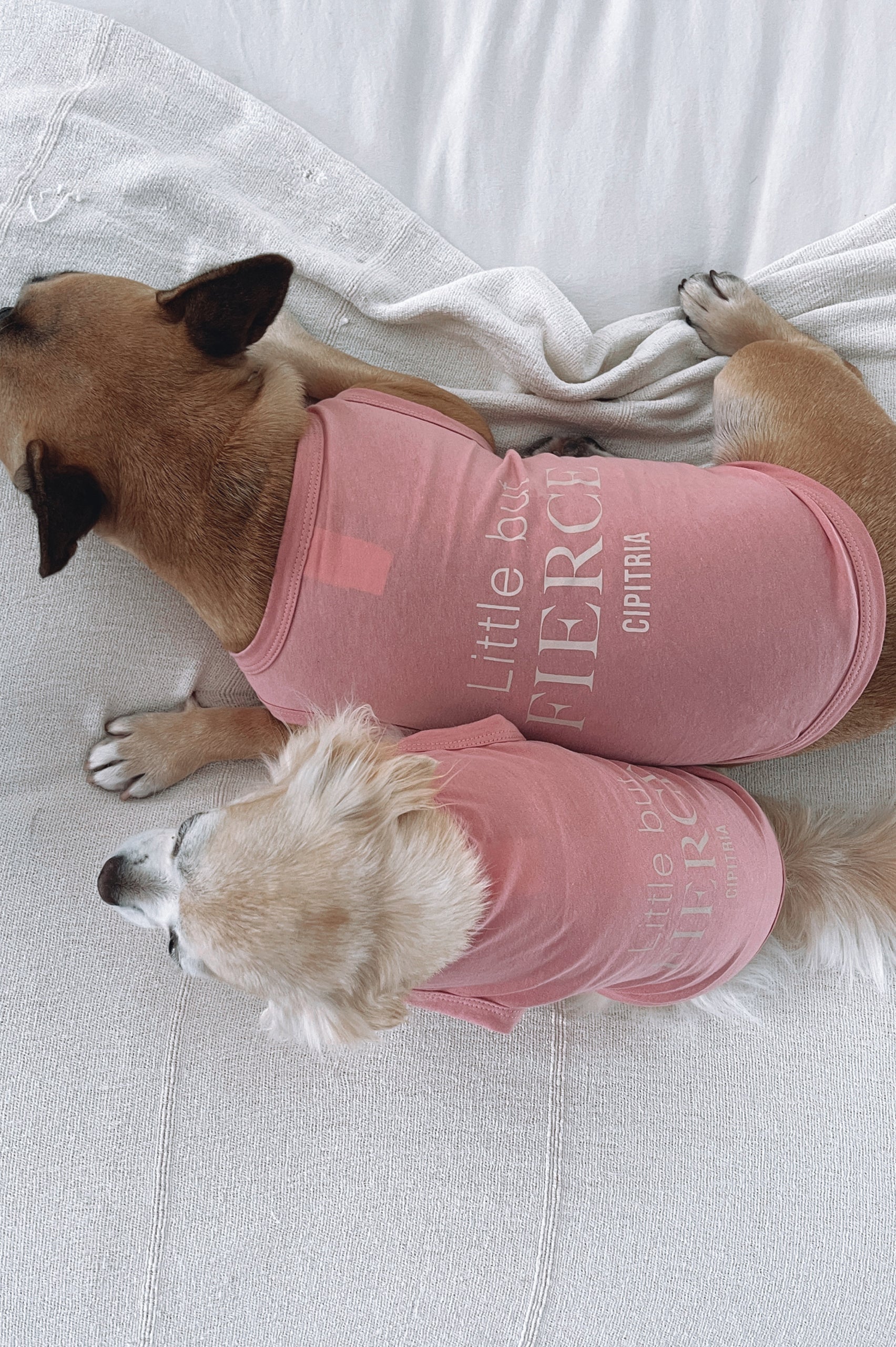 REMERA PUPPY WHAT I WANT ROSA