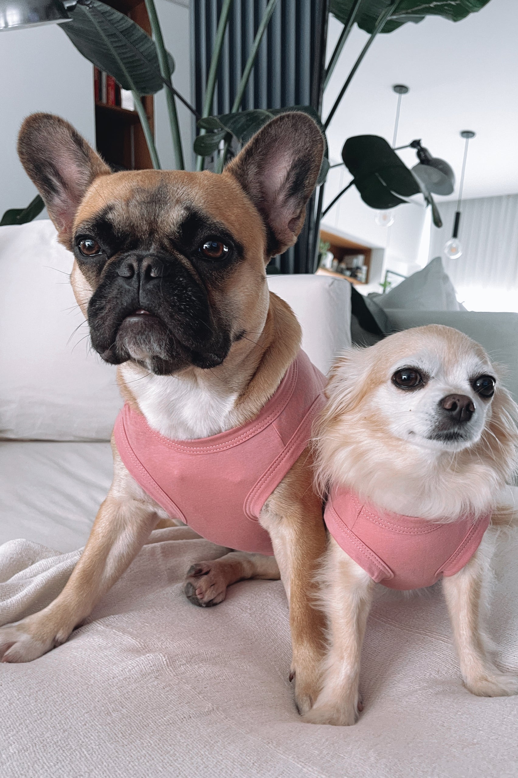 REMERA PUPPY WHAT I WANT ROSA