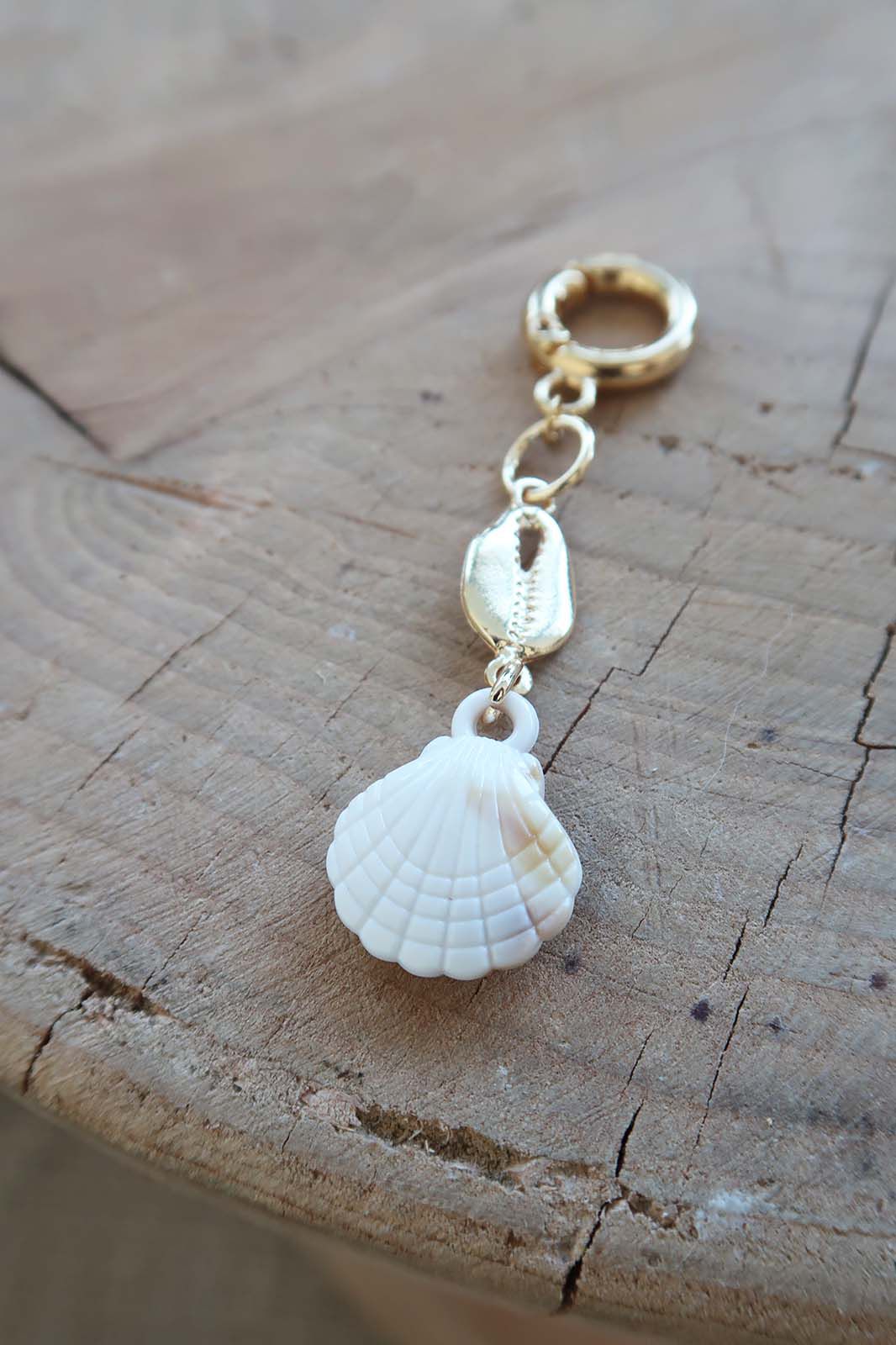 CHARM SEA