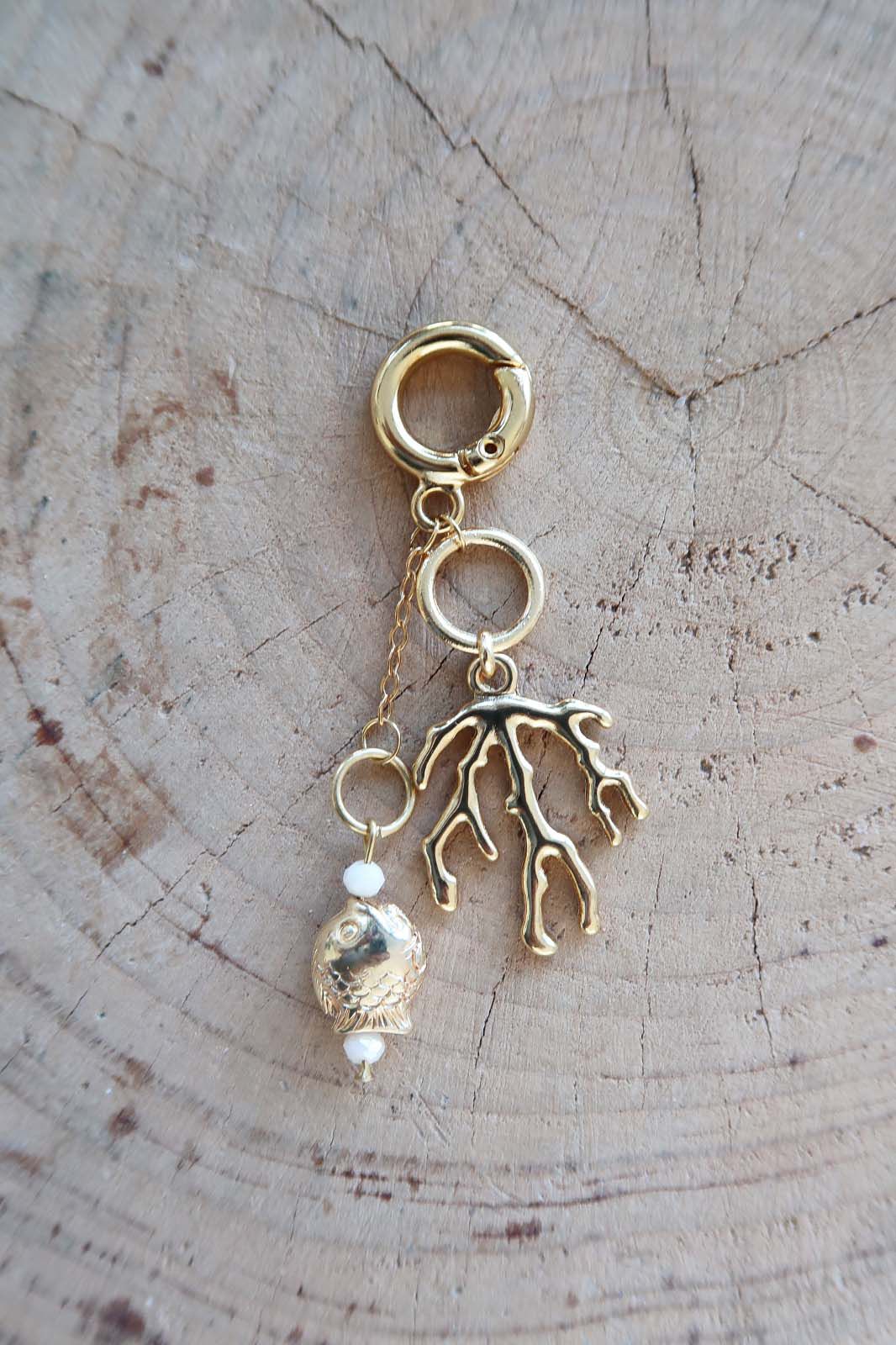 CHARM CORAL
